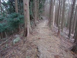 長尾街道
