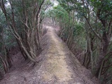 版築構造の山道