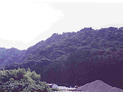 直見の山彦
