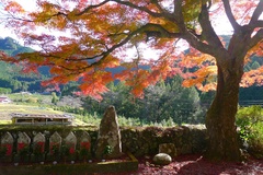 龍泉寺の紅葉