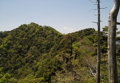 大塔山