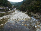 美しい古座川源流