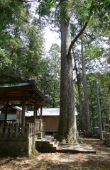 ハリオノ滝