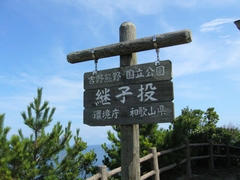 継子投