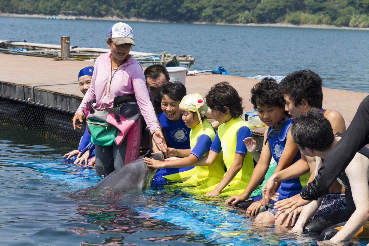 紀の松島と遊覧船
