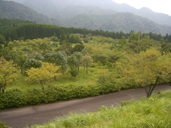 那智高原公園