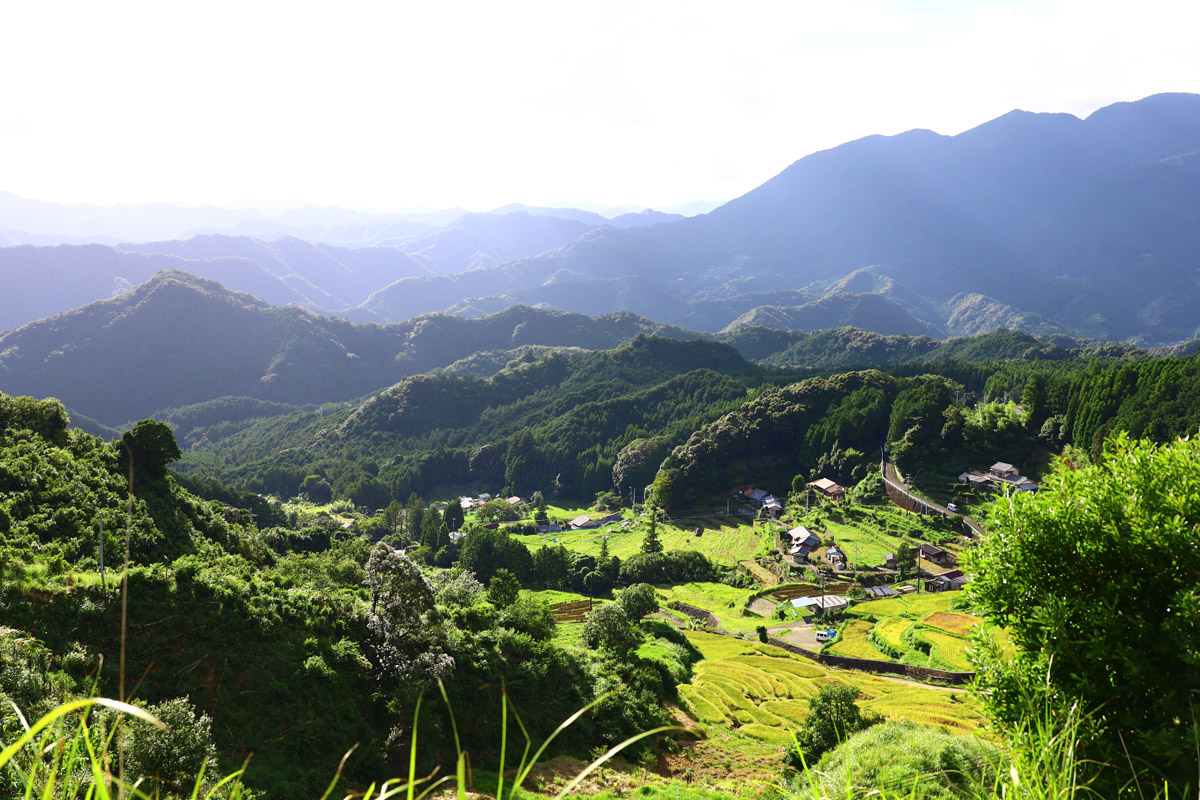 色川の棚田