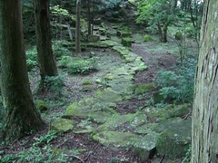 展望台に続く道