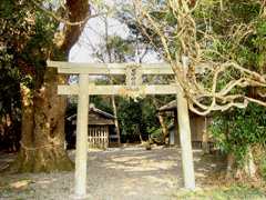 田中神社の森2