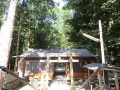 高倉神社の社叢