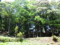 牛頭神社境内林