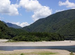 厳島神社の樹林