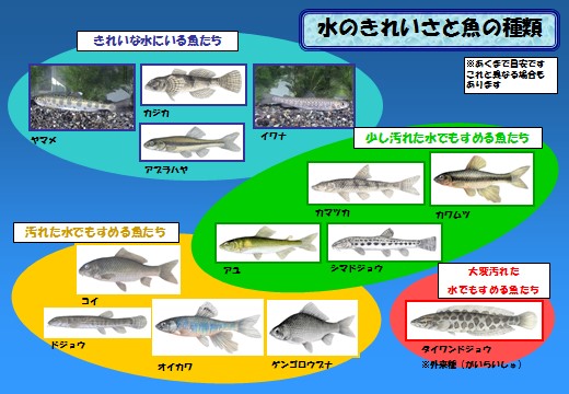 説明の様子