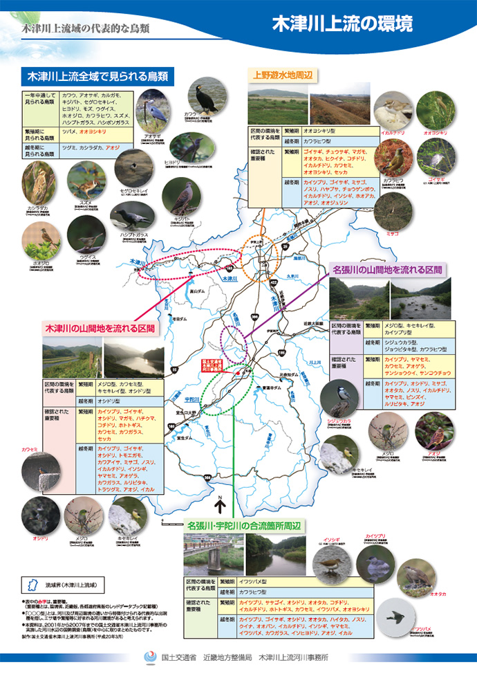 木津川上流域の代表的な鳥たち