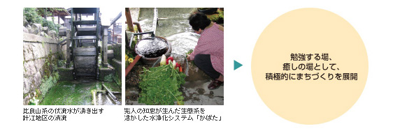 先人の知恵が生んだ生態系を生かした水上化システム