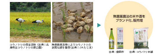 無農薬農業でコウノトリの良質な餌を確保し、それらをブランド化・販売