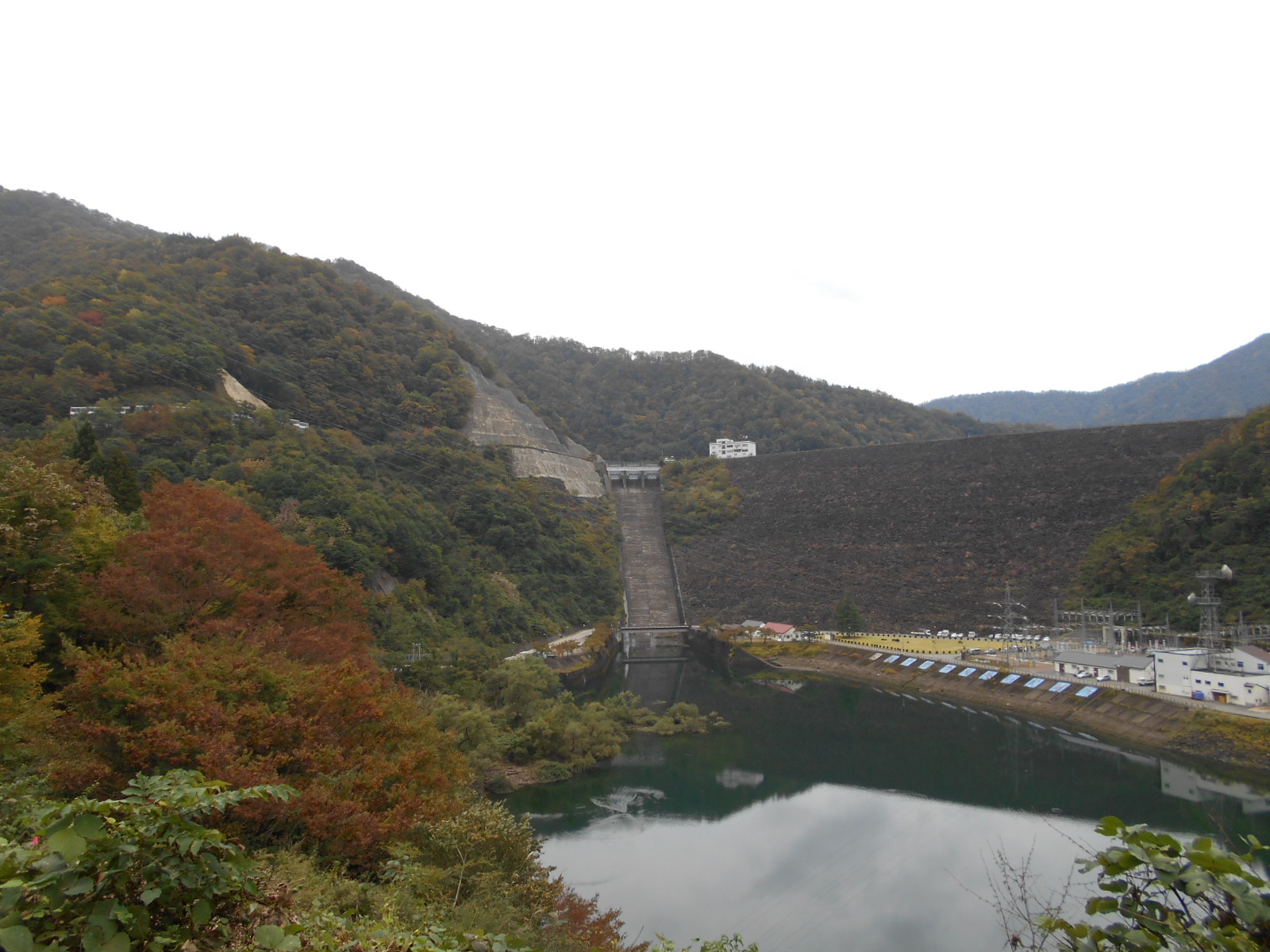 国土交通省 近畿地方整備局 九頭竜川ダム統合管理事務所 九頭竜ダム周辺の紅葉情報 19