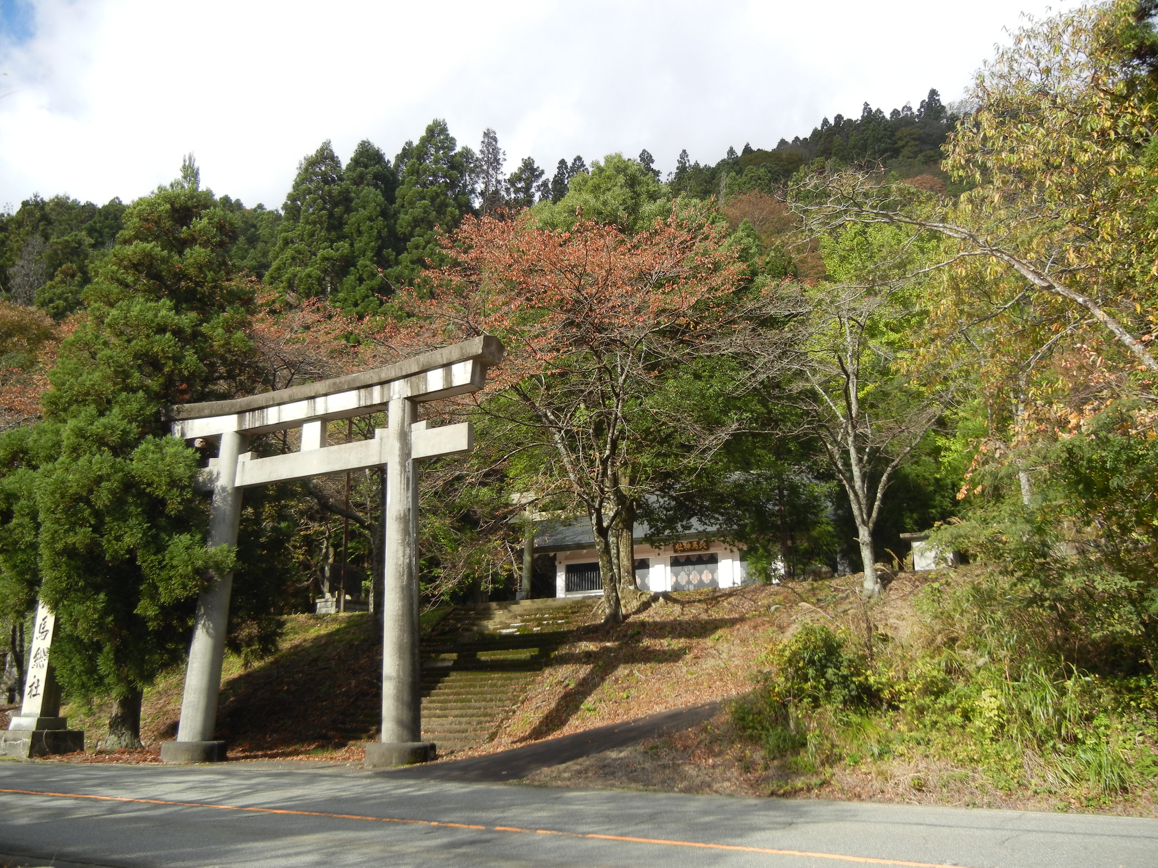 �_���T�C�g