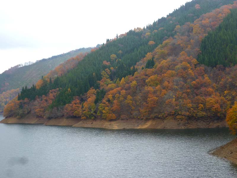 箱ヶ瀬橋上流