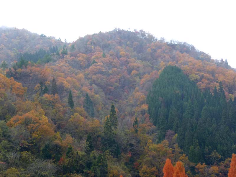 下半原山頂