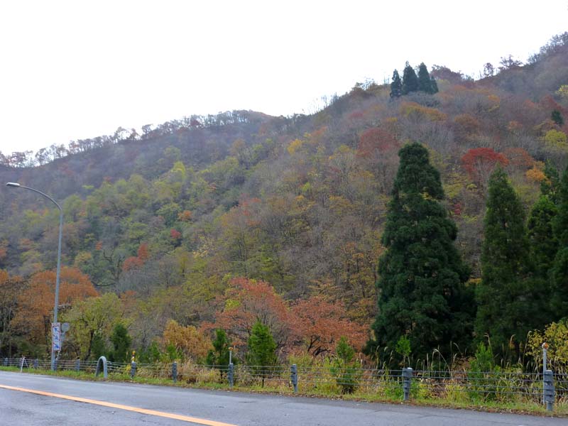 油坂峠付近