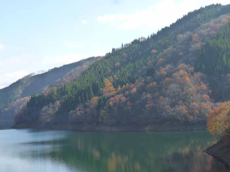 箱ヶ瀬橋上流