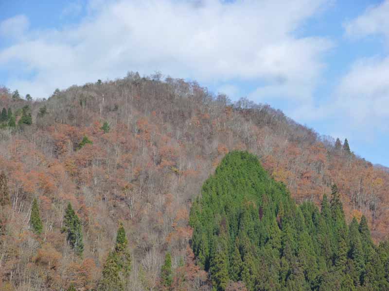 下半原山頂