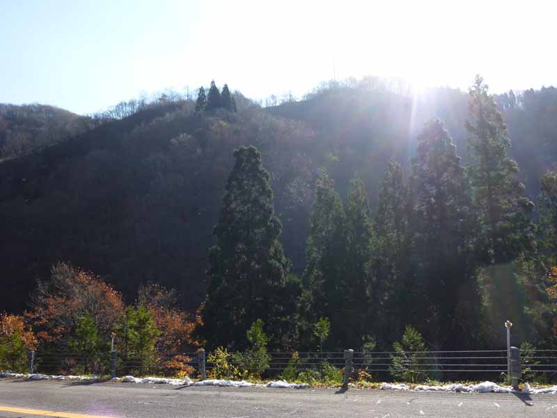 油坂峠付近