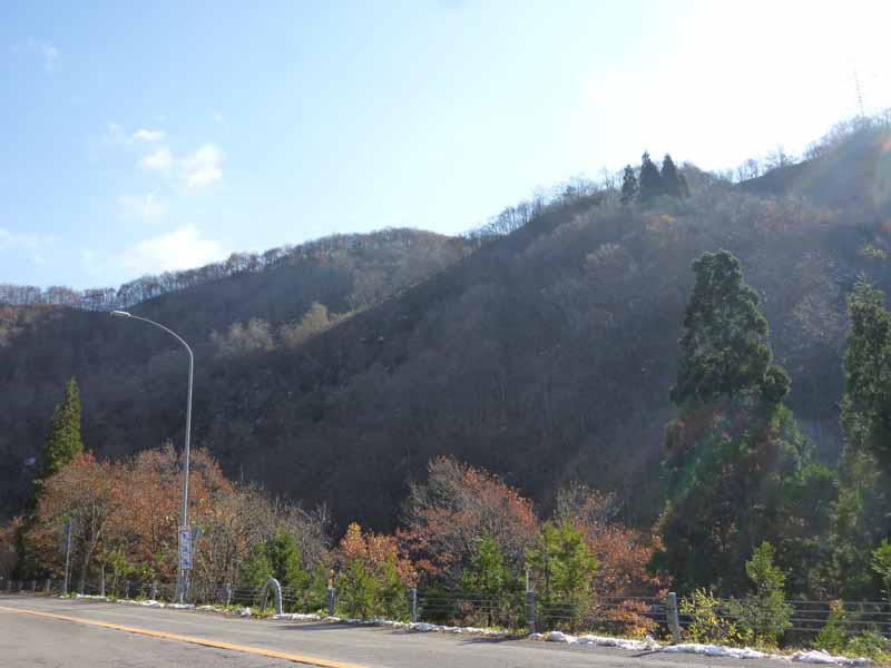 油坂峠付近