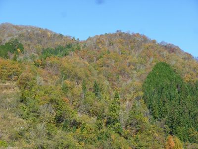 下半原山頂