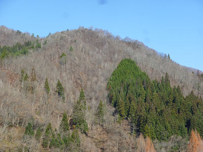 下半原山頂