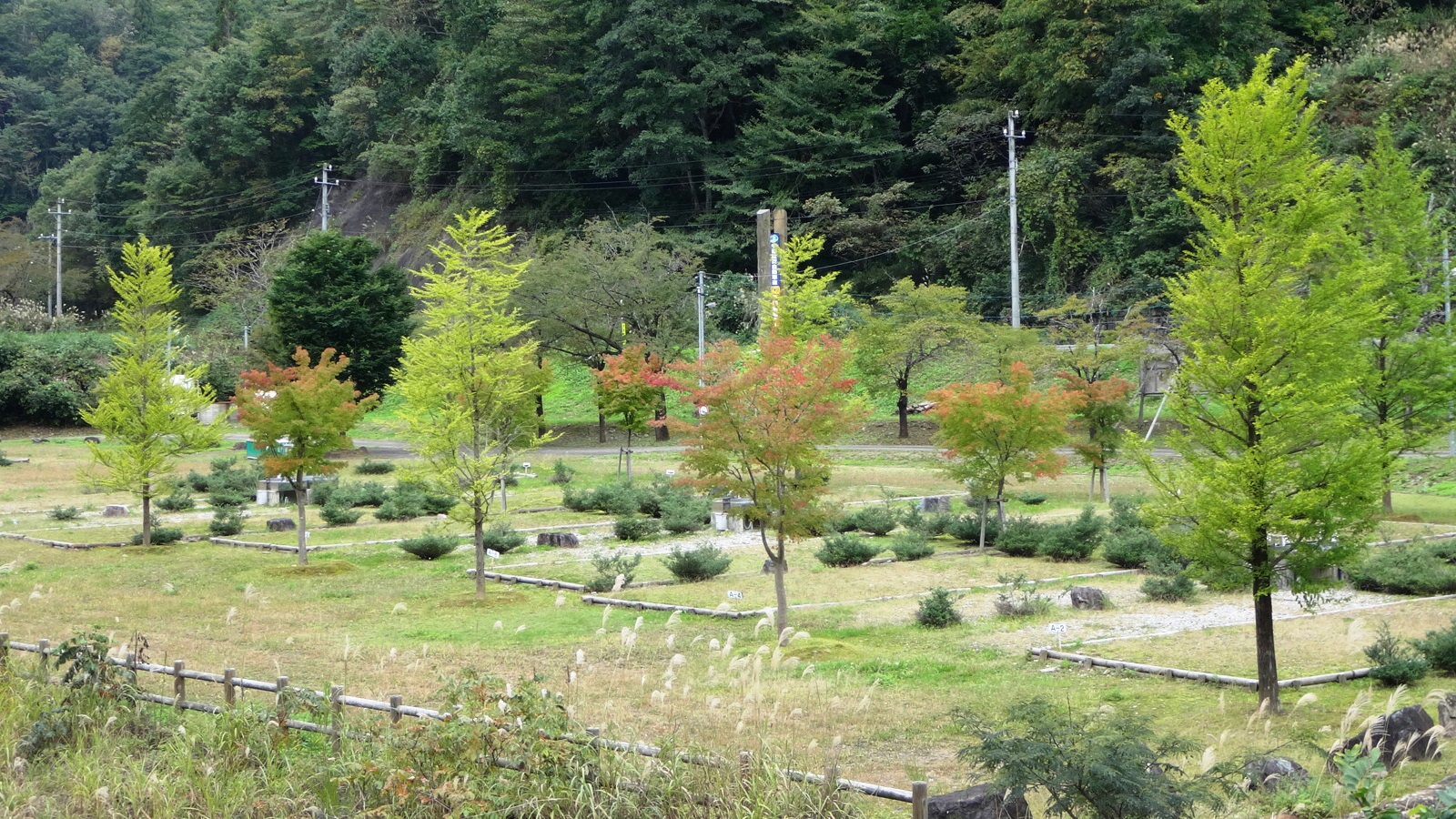 国土交通省近畿地方整備局