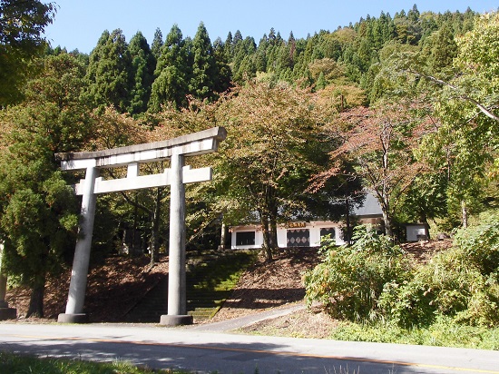 ���n�_��