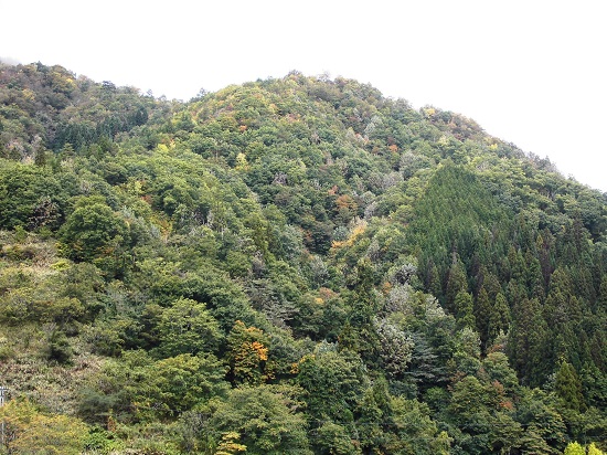 �������R��