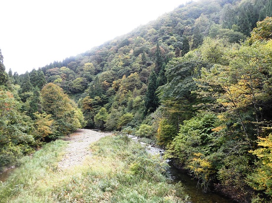 �������㗬