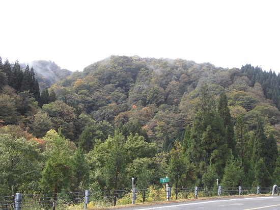 ���⓻�t��