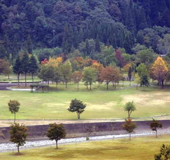 中島公園 アップ
