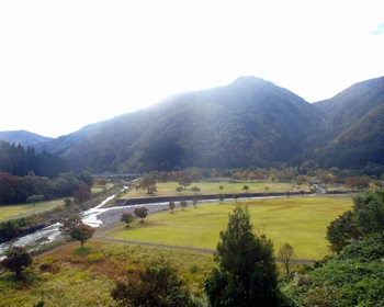 中島公園 全景