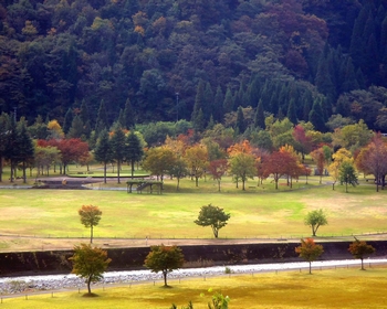 中島公園 アップ