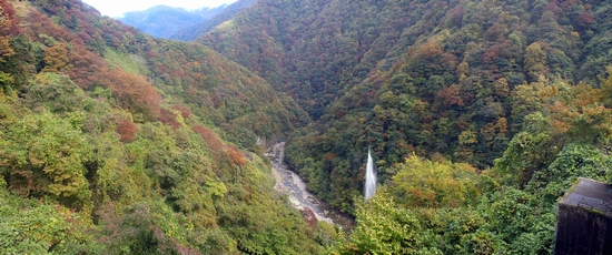 支所下流