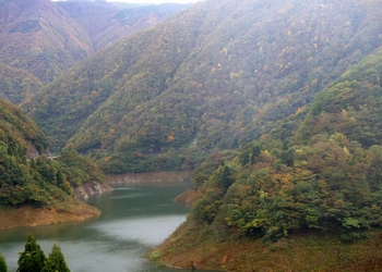 貯水池上流