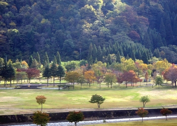 中島公園 アップ