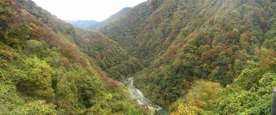 支所下流