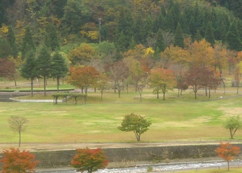 中島公園 アップ