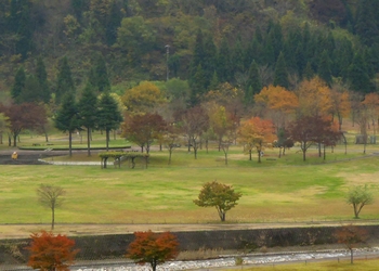 中島公園 アップ