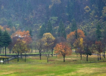 中島公園 アップ