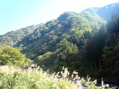 雲川