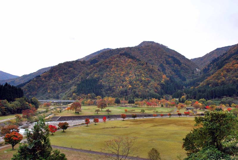 中島公園 全景