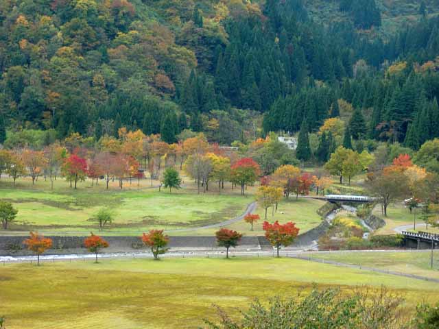 中島公園 アップ