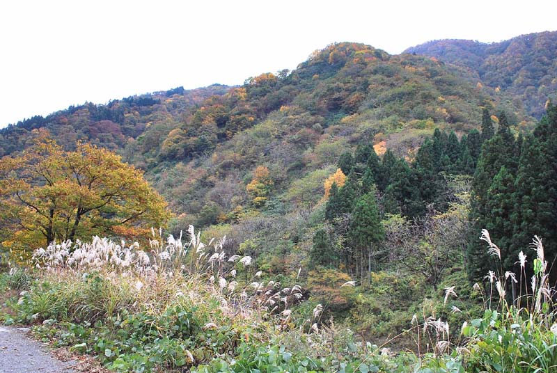 雲川